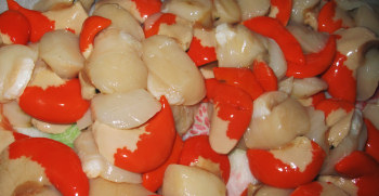 Scallops